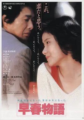 雾港迷雾高清电影手机免费在线观看